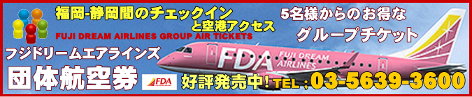 福岡-静岡間の団体航空券のチェックインと空港アクセスについて