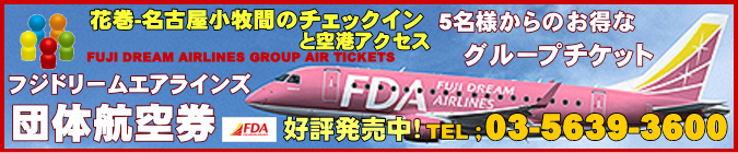 花巻-名古屋小牧間の団体航空券のチェックインと空港アクセスについて