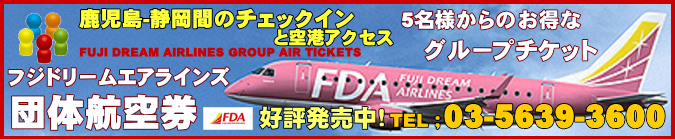 鹿児島-静岡間の団体航空券のチェックインと空港アクセスについて